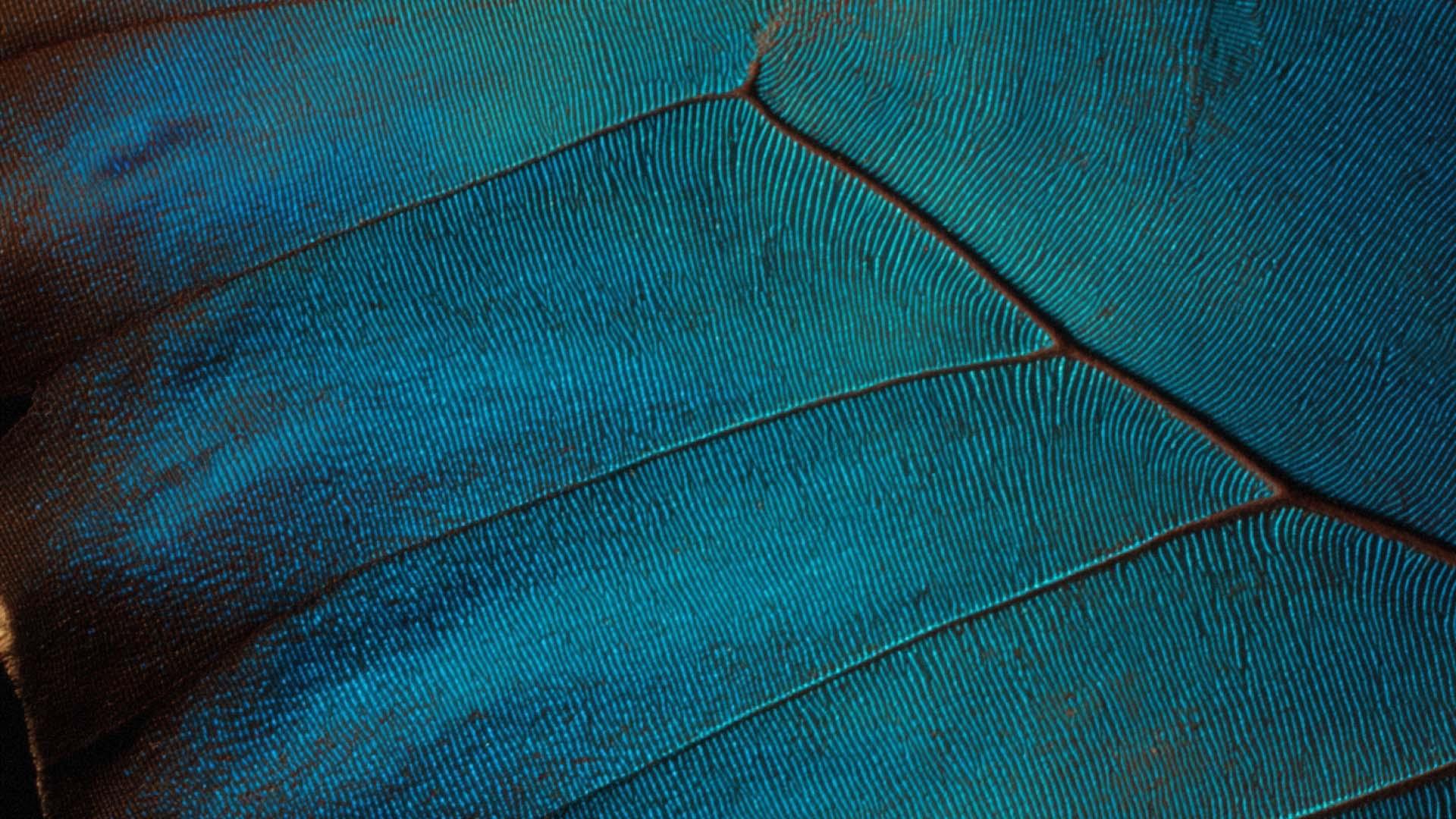 CMS for Government: How to Build Accessible Public Website